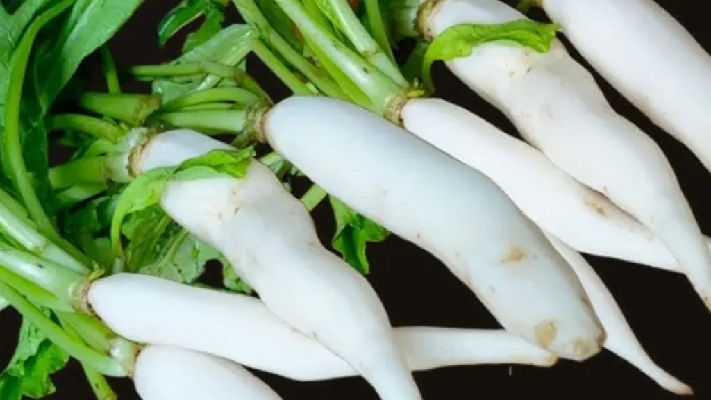 foodzlife-1766146797