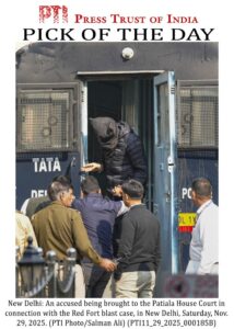 nYLTricm-breaking_news-1-696x976