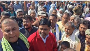 1b3034a5bd182f72f1013cd4b797ed3a_380050243