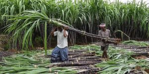 2025_10image_11_28_136427909ganna