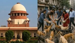 20260113160337_supreme court vs dogs