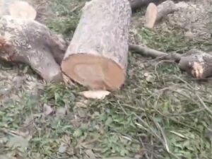 2bf97c50354b438b835cb5e5e4c2af70_1125367627