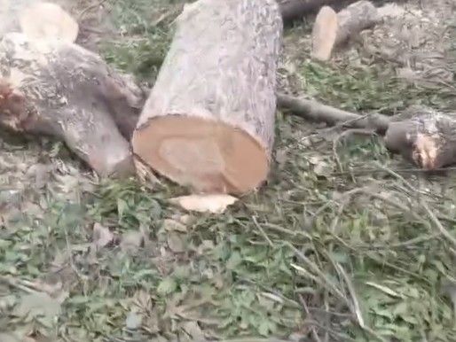 2bf97c50354b438b835cb5e5e4c2af70_1125367627