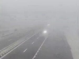 43cf7cbcf83d2172a117bb3ffe8019ab_2002431791