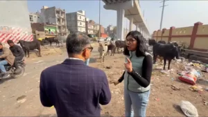 5f1e24dc4e5ea64be349ac64060c7fcc