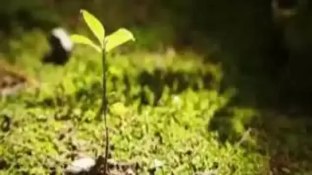 5f31fbc36a4dd40d717a7bde1c39ec2f