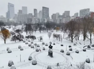 7725e73d53af43e9883217e8b546114e