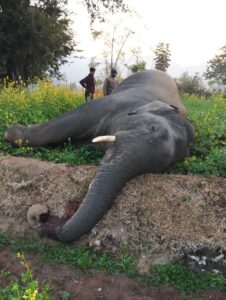 8a1631e3869f87ecb0746f61b690edfb_1998249052