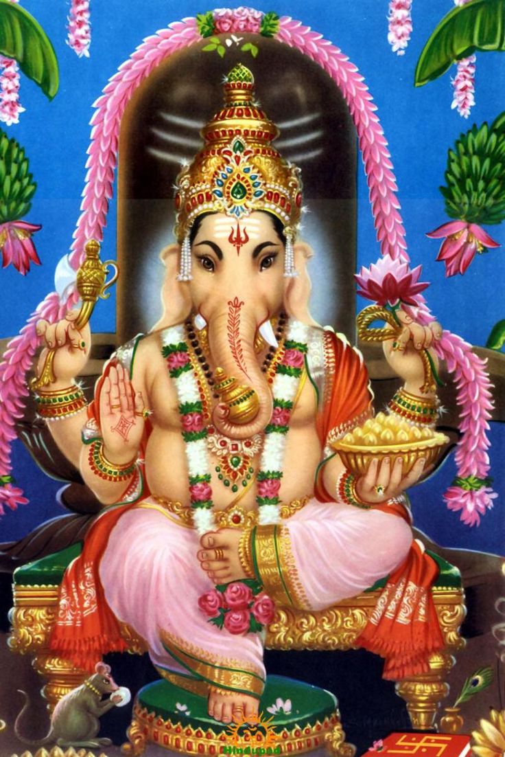 c5555aa53a0329c6ebb9456df87fd807