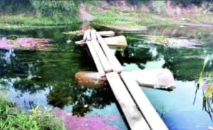 c59eefc694fb046837772cf18dc0de82_967846615