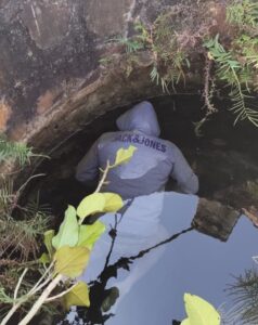 cfe82dc9c247290c7327f2a67f27bd44_1901568069