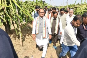 ea0b9e6d8d146286b3c21751fd71a867