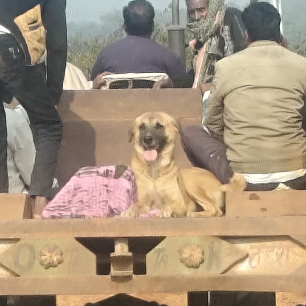 f271d62691148bc540b03fbdb8f4c6fe_680956389