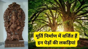 god-idol-1-1767962123