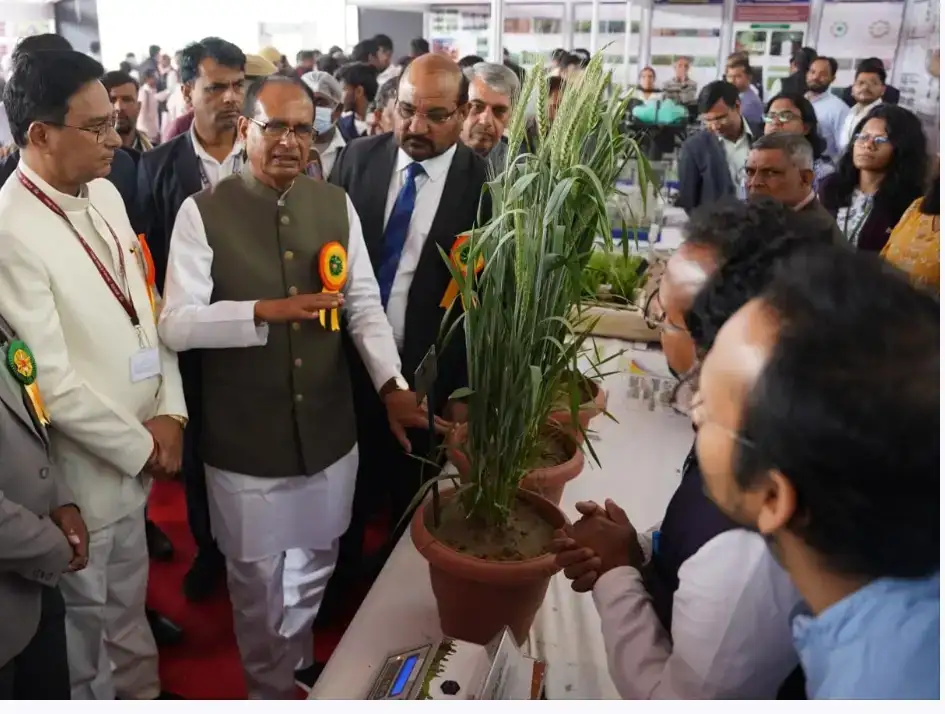 04fce98c23e6818302b305ac51e24810