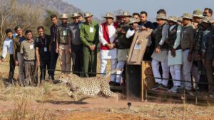 1200-675-23480973-thumbnail-16x9-kuno