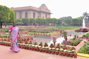 2c2127a96bd78a7e2210020844ff5557