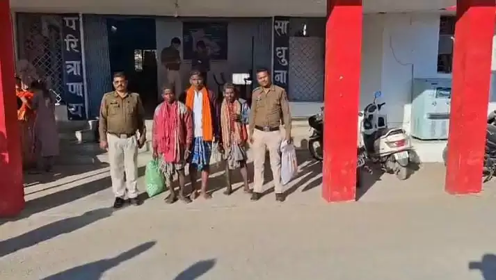 2fd5256ff22355df1488ae0292350088