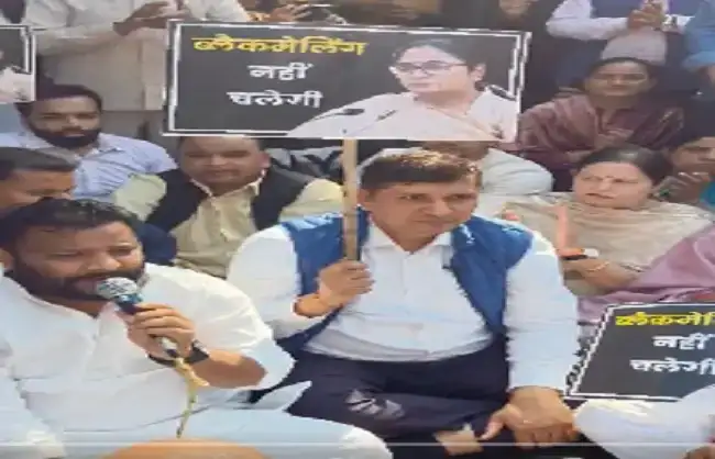 55ef562e7bea80f3a64ee34b733c7f5a