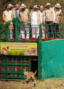 8f11a97e2306babe6786e20ceb2c6f45