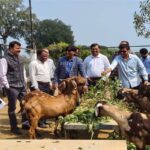 TN5-Bhopal090226061011