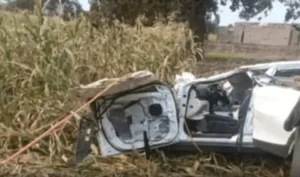 f35c92daf877999bb3f0766327941d62