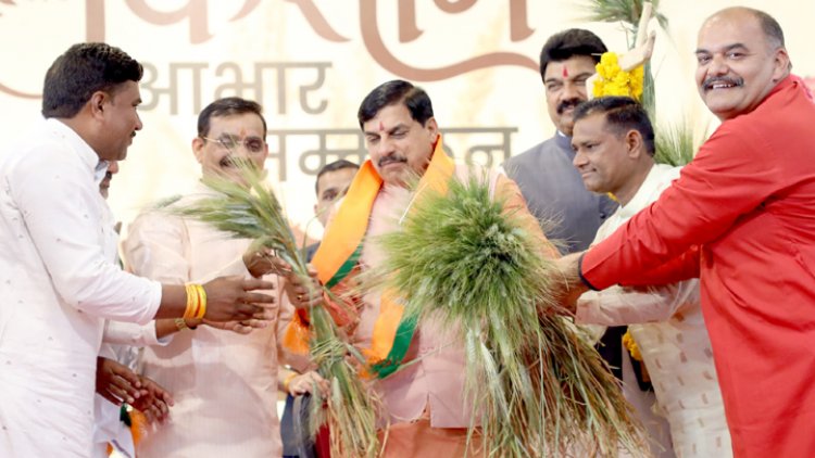 image_750x_67c557f91dd9e