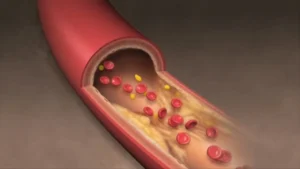 mixcollage-07-feb-2026-06-06-pm-6285-1770467800