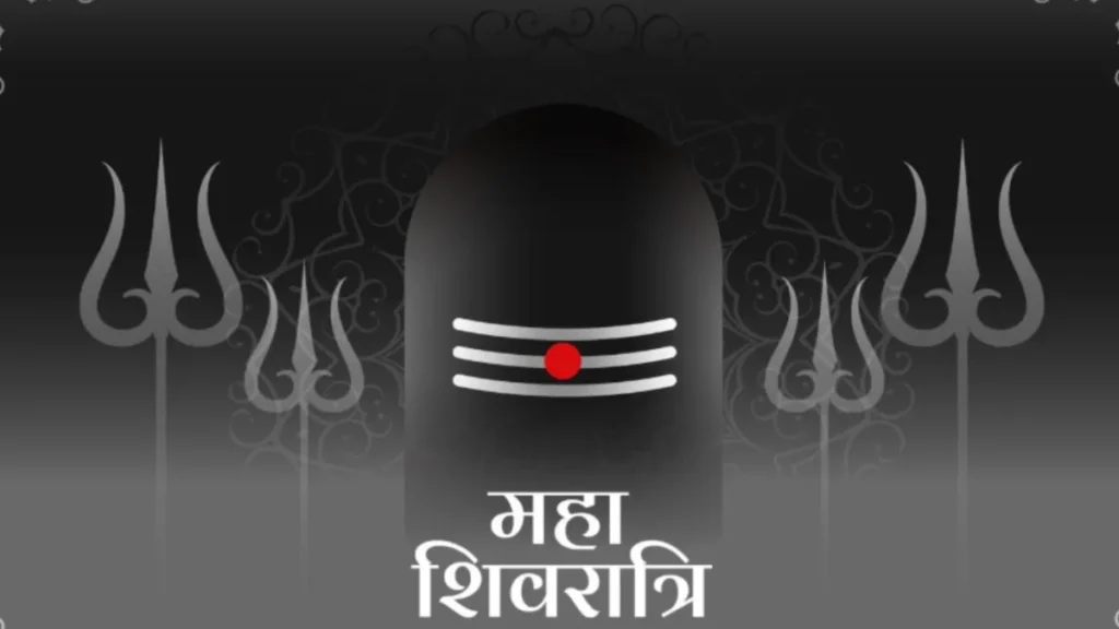 mixcollage-13-feb-2026-01-44-pm-6749-1770970479