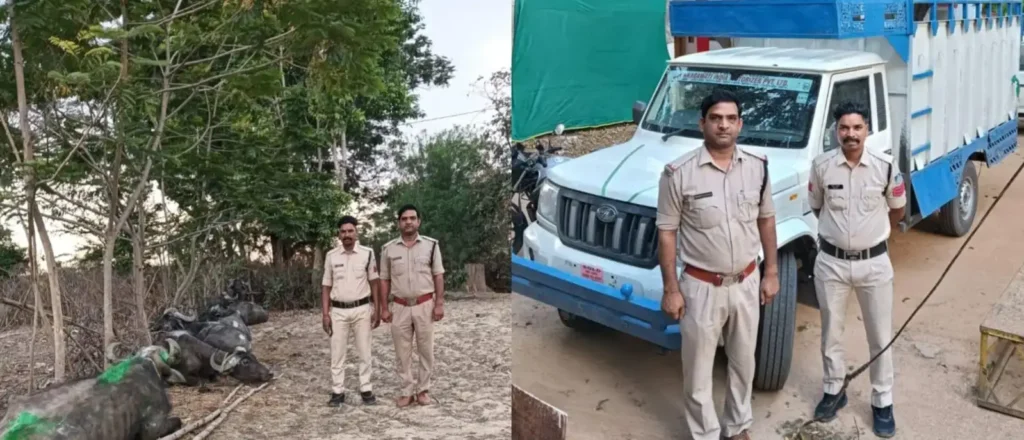 105a940dbf51b3b1fd4c21dc6f1d9f40