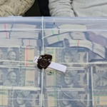 फेक करेंसी रैकेट का भंडाफोड़: 2.38 करोड़ रुपए के नोट जब्त, 7 आरोपी गिरफ्तार