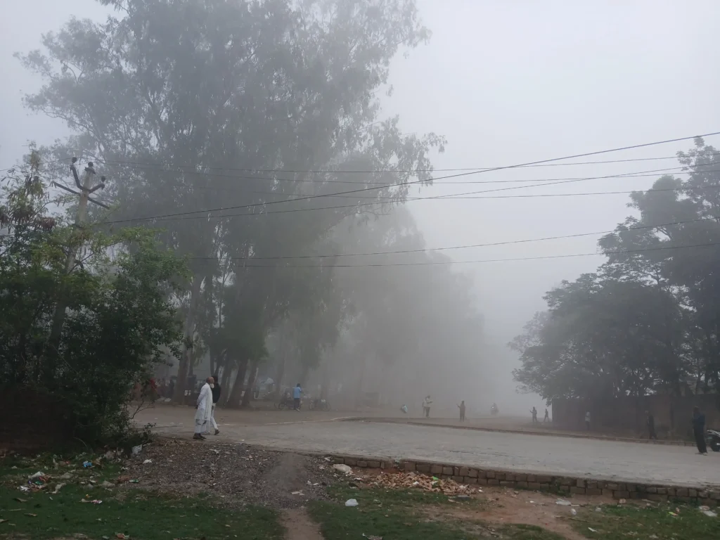 5f4d1984a11d9b68bde9363506e43b21