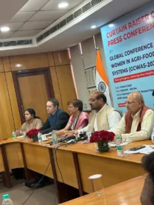 91d31eef2b5b05d7b254c21e5ccfe73a