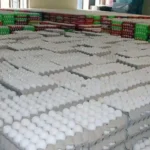 पश्चिम एशिया में युद्ध के चलते तमिलनाडु का अंडा उद्योग प्रभावित, कीमतों में भारी गिरावट