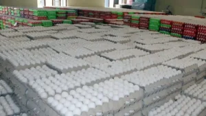 a36e42639f4be14fc9d3149a6265da5c