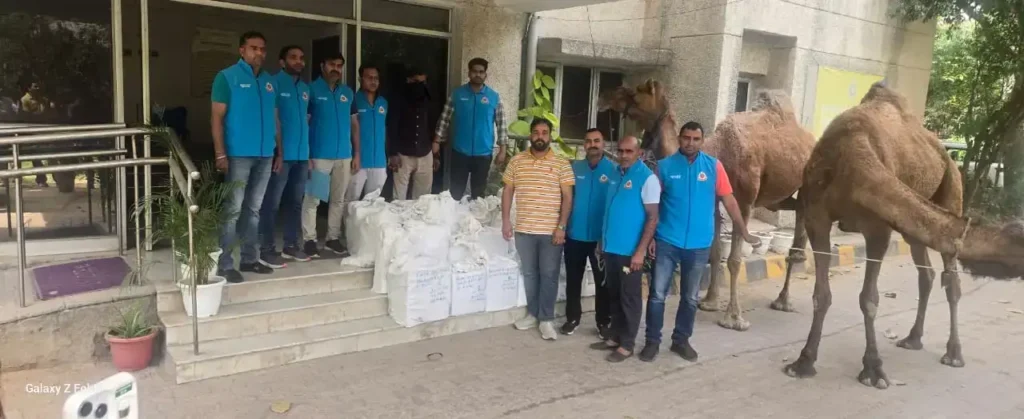 d03b56d926e7e099c853c4da53d2717d