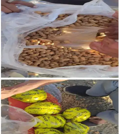 ddb592a303a14aa7bce9d1863efcfdc2