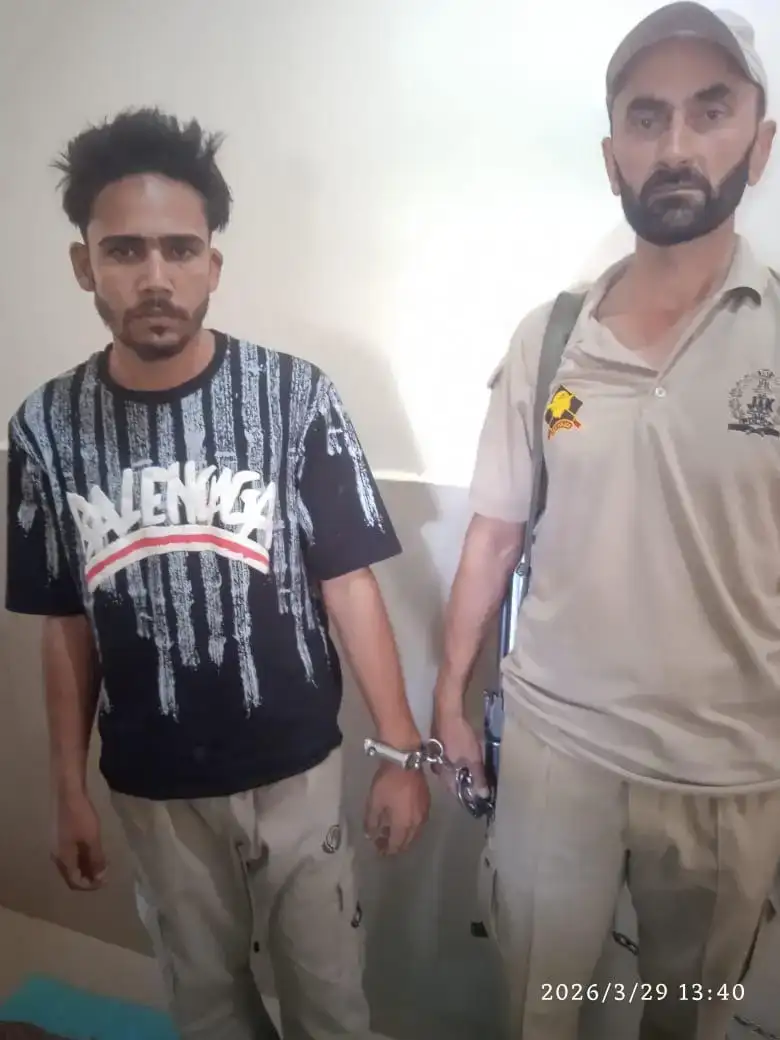 f28bb77bdd171ee8994b0f7abe725d72