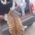 fcf62159e1f557dccb7acf63c43df7ae_795777433