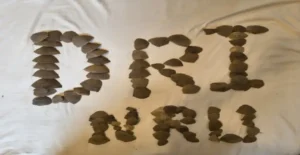 0e5d32ddd1a7282fc5e8775cd03b9591