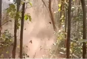 1024b990e1fe355a18d8bb1b530261a2