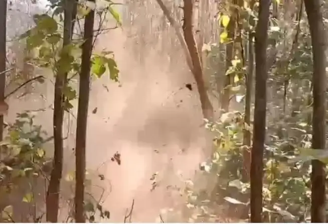 1024b990e1fe355a18d8bb1b530261a2