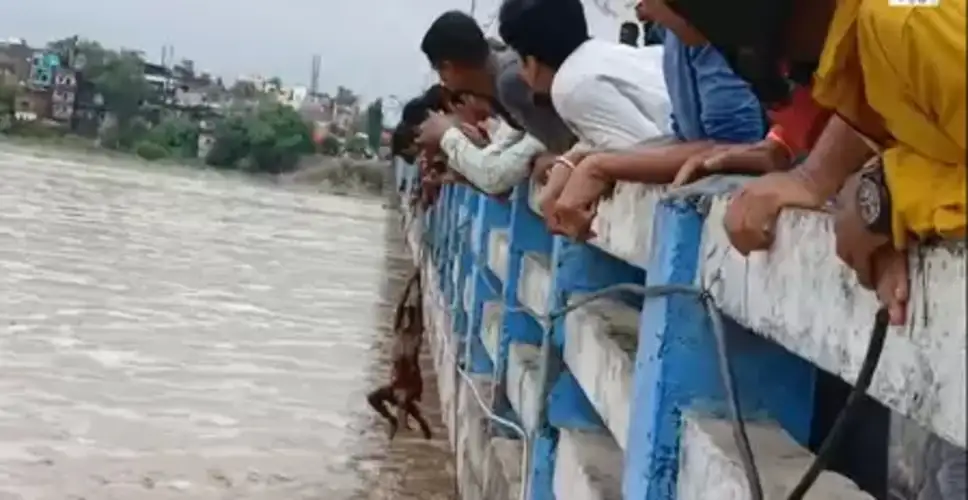 11b03199b8486fef5acc794e9bb32e56