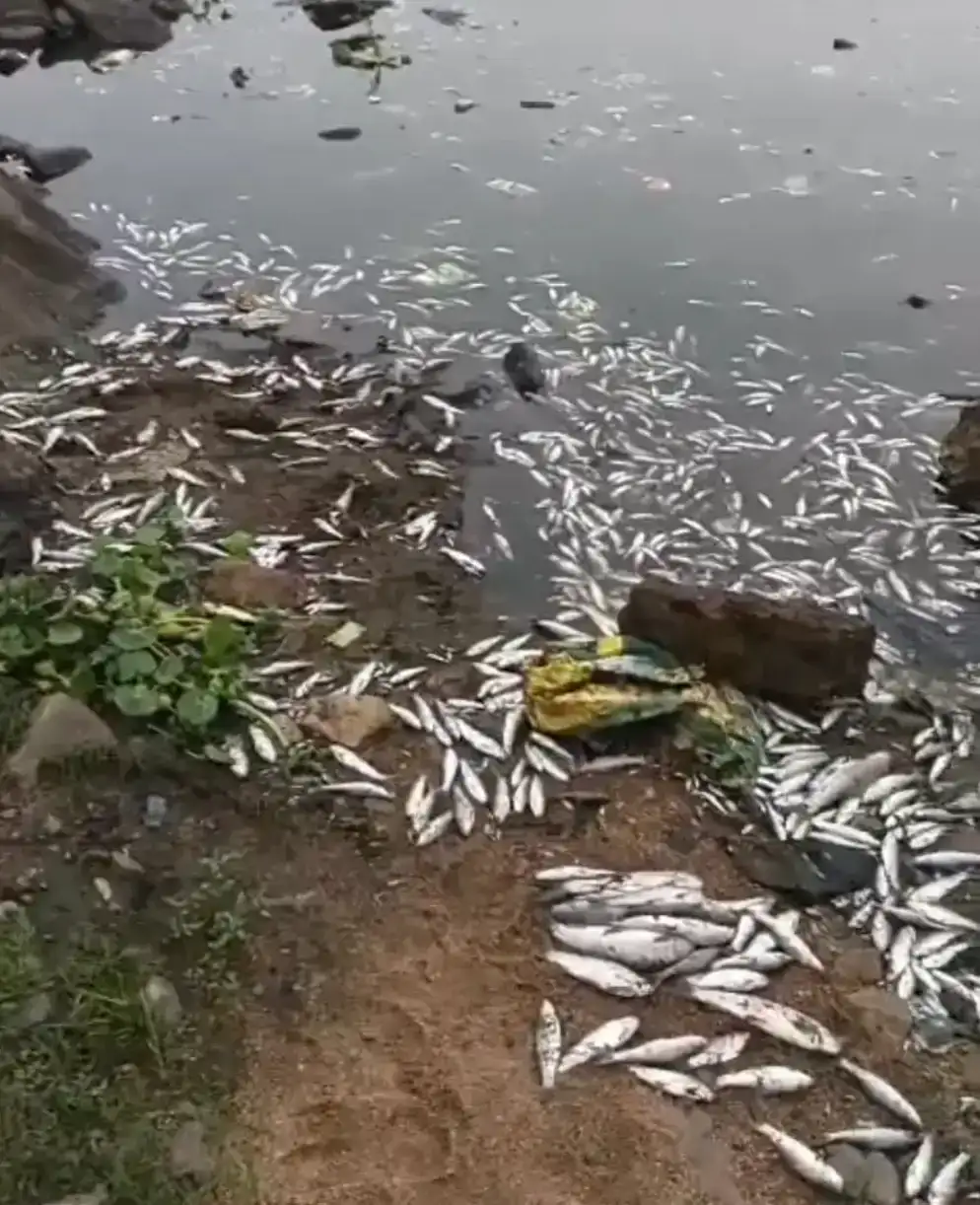 14012b1ebab7e0754b56d52cb944c78b