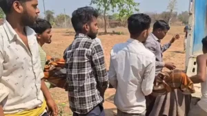 651bfbae07d57eca6a8c8fa9c6b54fae