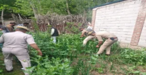 6e1f01d0dbce957533706aec3b71d10d