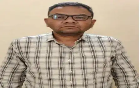 74af6bbd58deb332bc663eb15a7f7b4a