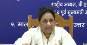 78e1e3c6f6fe11f1676360333c48e300