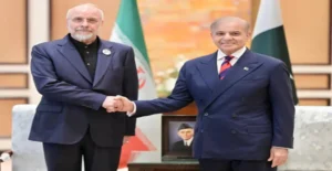 80a1fa4f318630ade346c7f2b6c5918d