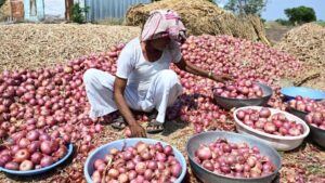 ONION-FARMER-AGRICULTURE-DROUGHT-ECONOMIC-DISTRESS-NASHIK_10-1024x576